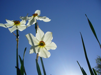 Similar image 6050384