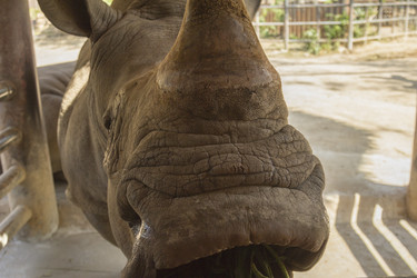 Similar image 6050421