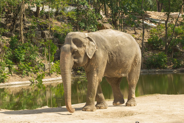 Similar image 6050428