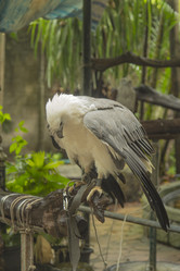 Similar image 6050430