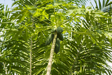 Similar image 6050434