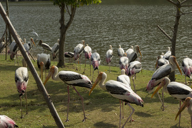 Similar image 6050438