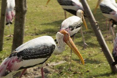 Similar image 6050444