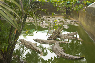 Similar image 6050445