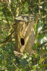 Similar image 6050446