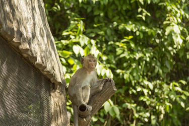 Similar image 6050447