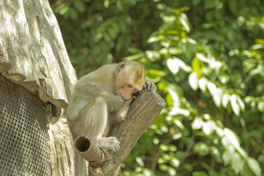 Similar image 6050453