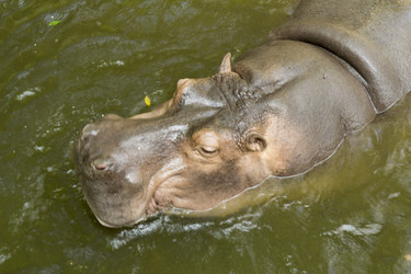 Similar image 6050458