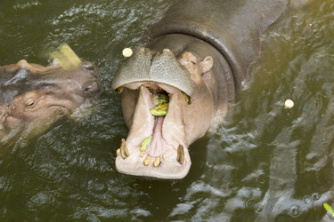 Similar image 6050459