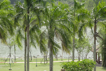 Similar image 6050466