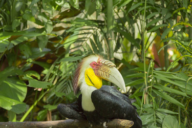 Similar image 6050467