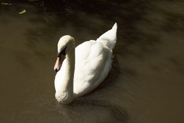 Similar image 6050468