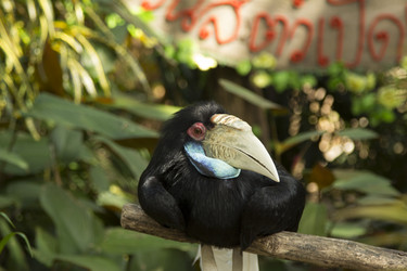 Similar image 6050469