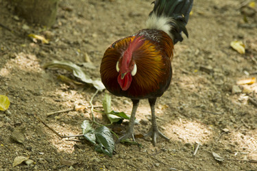 Similar image 6050470