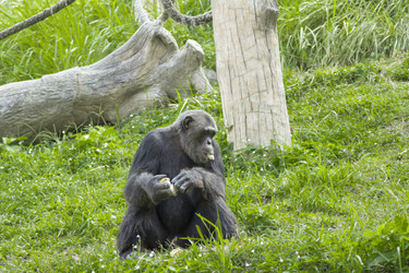 Similar image 6050471