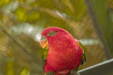 Similar image 6050472