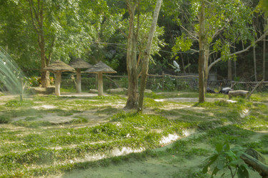 Similar image 6050473