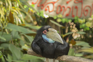 Similar image 6050474