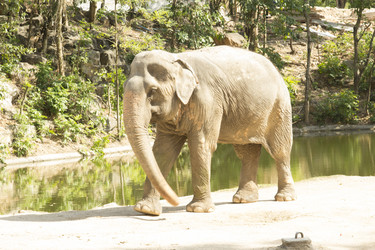 Similar image 6050475