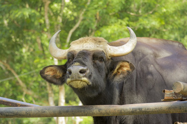 Similar image 6050477