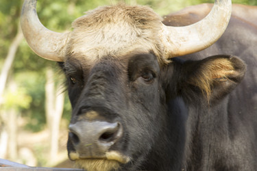 Similar image 6050479