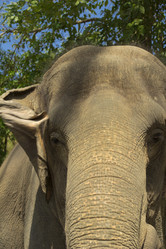 Similar image 6050480