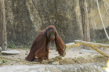 Similar image 6050481