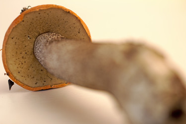 Similar image 6050495