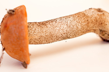 Similar image 6050501