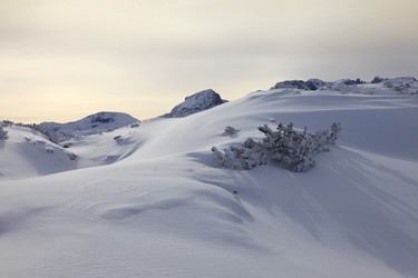 Similar image 6050504