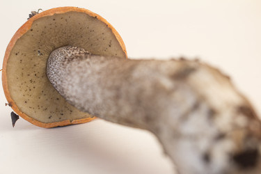 Similar image 6050508