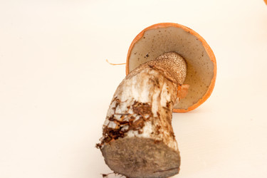 Similar image 6050509