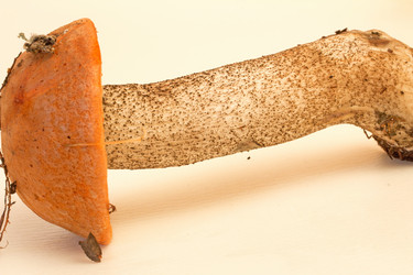 Similar image 6050510