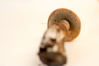 Similar image 6050515