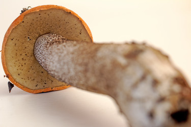 Similar image 6050518