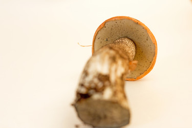 Similar image 6050519