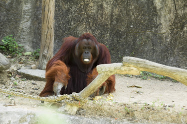 Similar image 6050615