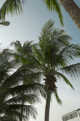 Similar image 6050636