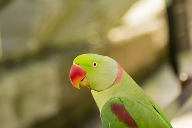 Similar image 6050638