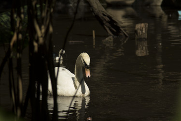 Similar image 6050639