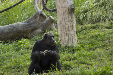 Similar image 6050640