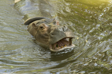 Similar image 6050641