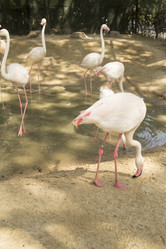 Similar image 6050642