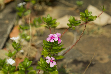 Similar image 6050644