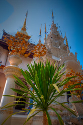 Similar image 6050708