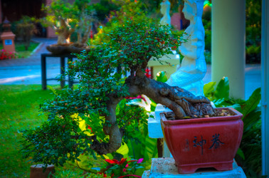 Similar image 6050760