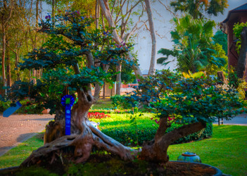 Similar image 6050763