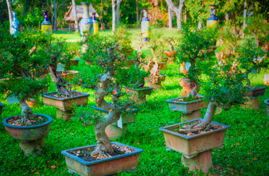 Similar image 6050767