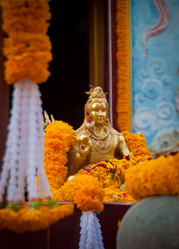 Similar image 6050769