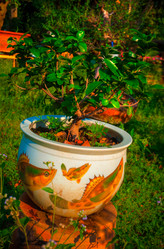 Similar image 6050772